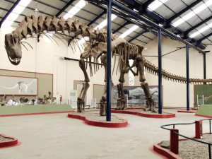 Misschien was de Argentinosaurus zwaarder dan de Dreadnoughtus, maar dat zullen we pas weten als wetenschappers een compleet fossiel vinden.  Bron: PLOS ONE