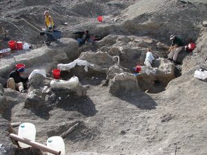 De plek waar Dreadnoughtus is opgegraven.  Bron: Kenneth Lacovara