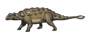 Een tekening van de Ankylosaurus magniventris, een van de Ankylosaurus-soorten.  Bron: Wikimedia Commons/ Emily Willoughby 