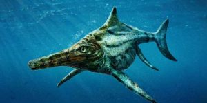 Ichthyosauriër, een prehistorisch zeemonster. Bron: Tod Marshall