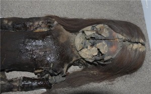 De mummies in het San Miguel de Azapa-museum in Chili veranderen langzaam maar zeker in zwart slijm. Bron: Vivien Standen