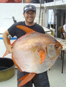 Onderzoeker Nick Wegner met de vis.  Bron: NOAA 