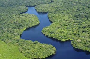 Het Amazonegebied was vroeger misschien veel bewoonder dan nu. Foto: Neil Palmer