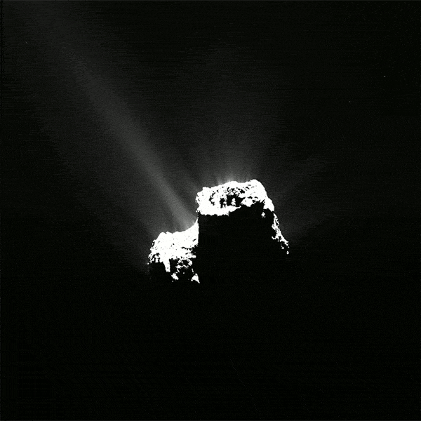 De activiteit van komeet 67P is duidelijk te zien in de uren voordat ze het dichtst bij de zon is. Deze reeks beelden is gemaakt door Rosetta’s OSIRIS-camera op 12 augustus. (Beeld: ESA/Rosetta/MPS for OSIRIS Team MPS/UPD/LAM/IAA/SSO/INTA/UPM/DASP/IDA)