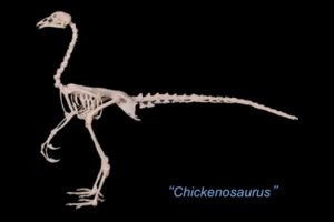 Chickenosaurus