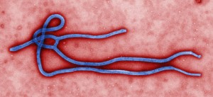 Wordt 2015 het jaar van de waarheid voor de strijd tegen Ebola?