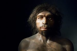 Homo-antecessor-facial-reconstruction