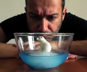 Door smeltende poolkappen verliest de ijsbeer zijn leefruimte. Foto: Luca Vanzella 