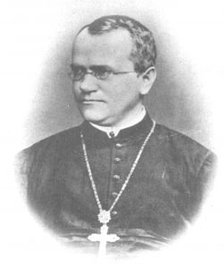 Gregor Mendel. Bron: wikimedia commons