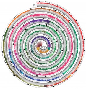 De nieuwe levensboom laat bevat meer dan 50.000 soorten. Klik op de afbeelding voor hoge resolutie. Afbeelding: Temple University. 