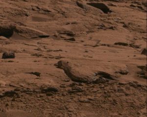 Leuk spelletje: spot de vreemdste Mars-steen. Dit exemplaar heeft de vorm van een vogel. Bron: NASA/JPL-Caltech/MSSS