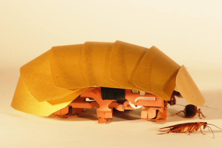 Robot geïnspireerd op kakkerlak