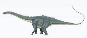 Diplodocus Bron: Wikimedia Commons/Dmitry Bogdanov