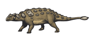 Een tekening van de Ankylosaurus magniventris, een van de Ankylosaurus-soorten. Bron: Wikimedia Commons/ Emily Willoughby