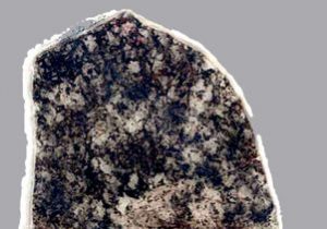 Een stuk steen dat 1,8 miljard jaar oude fossielen bevat. De fossielen (op de donkere plekken) verschillen niet van de hedendaagse zwavelbacteriën. Bron: UCLA