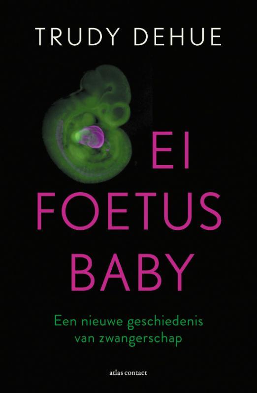 Afbeelding Ei, foetus, baby