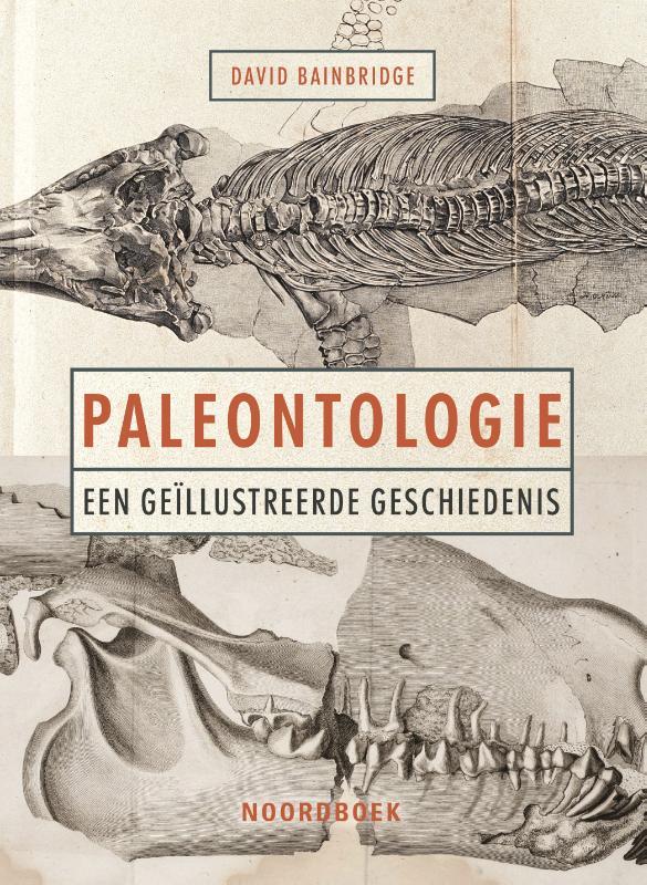 Afbeelding Paleontologie