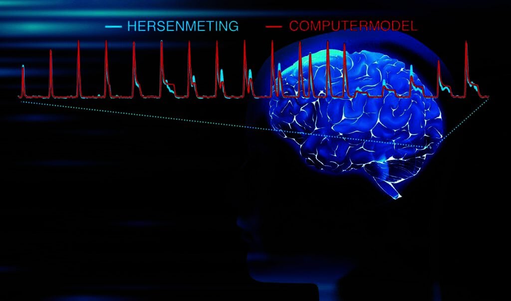 Cervello misurato per la prima volta ad alta risoluzione – New Scientist