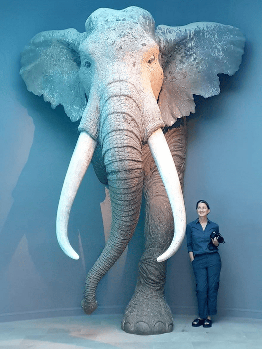 Sabine Gaudzinski-Windheuser Euraziatische bosolifant