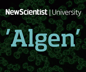 New Scientist university algen
