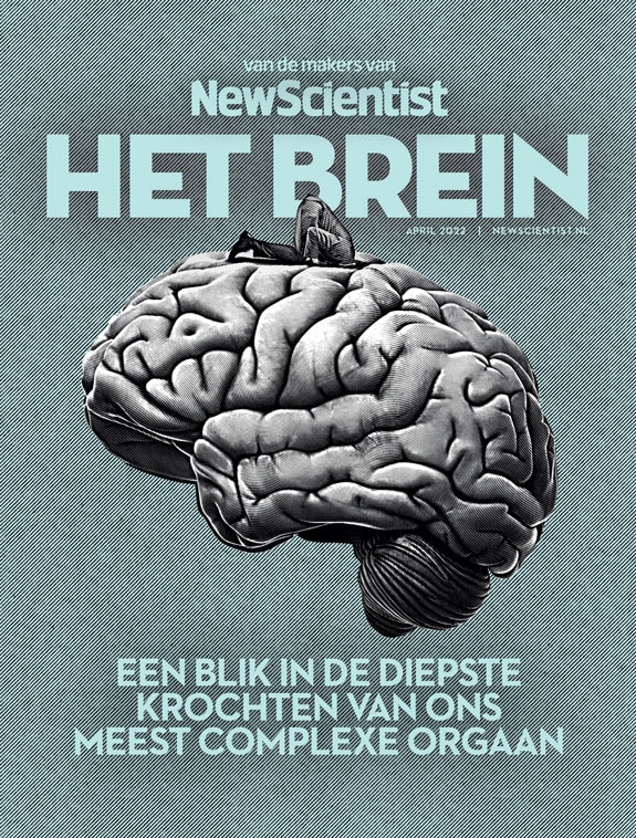Het Brein | Special New Scientist