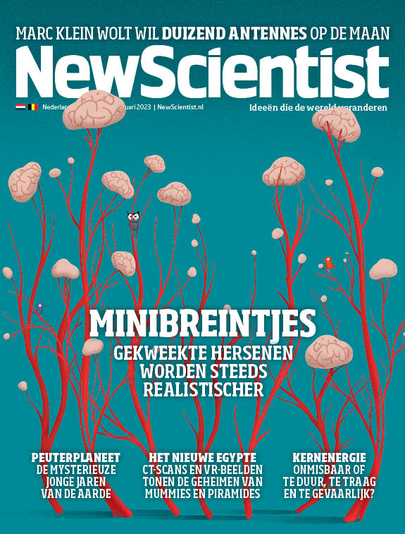 Afbeelding New Scientist - 107