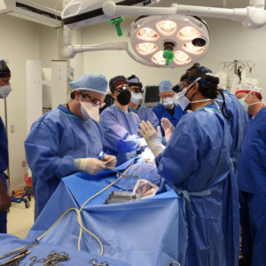 'Xenotransplantaties gaan voor een revolutie in de geneeskunde zorgen'