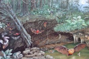 Deze artistieke impressie uit 1991 laat zien hoe het leefgebied van de mosselkreeftjes er 17 miljoen jaar geleden uitzag. Bron: Dorothy Dunphy.