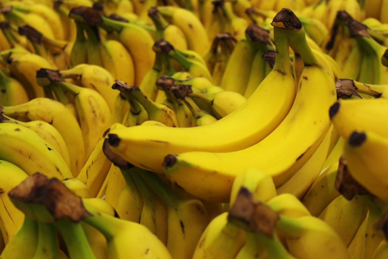Farmers are allowed to grow genetically modified bananas