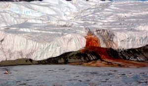Bloedwaterval op Antarctica