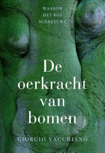 De oerkracht van bomen