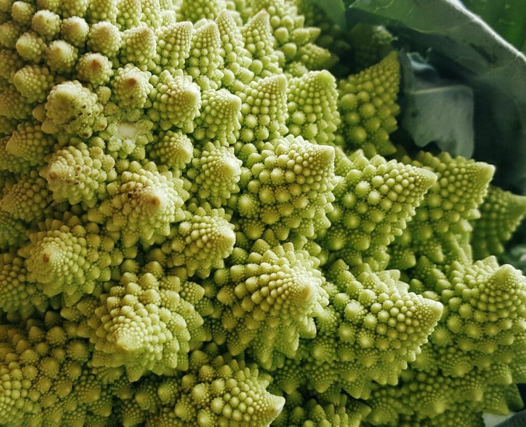 Romanesco bloemkool fractals