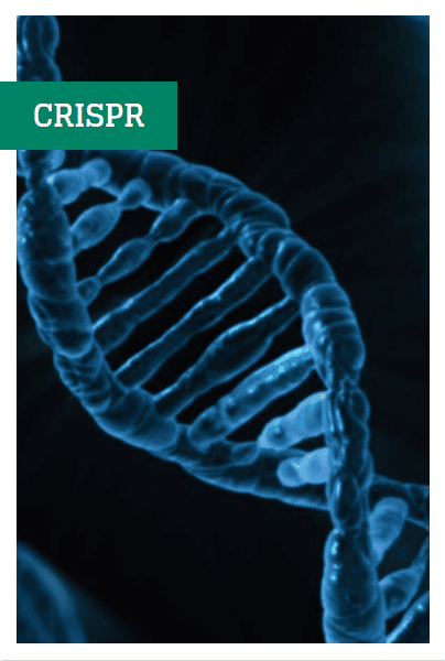 crispr dossier