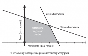 De verzameling van toegestane punten meetkundig weergegeven.