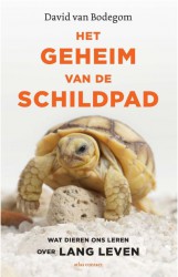 het geheim van de schildpad