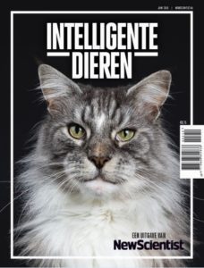 special intelligente dieren